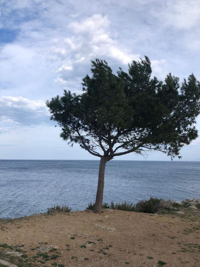 Casa Vacanze Da Maurizio Santa Flavia Buitenkant foto